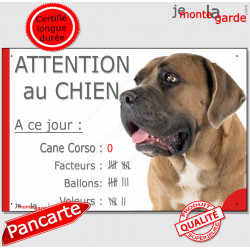 Cane Corso fauve, plaque humour "Nombre de Voleurs, ballons, facteurs, Attention au Chien" 24 cm