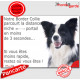 Border Collie noir et blanc poils longs, plaque humour "Attention au chien, distance Niche - Portail moins 3 secondes" 