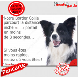 Border Collie noir et blanc poils longs, plaque humour "Attention au chien, distance Niche - Portail moins 3 secondes" 