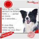 Border Collie, plaque humour "distance Niche - Portail" 24 cm 3SEC