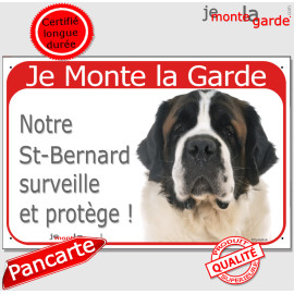 Saint-Bernard brun roux, plaque portail rouge "Je Monte la Garde, surveille protège" photo attention au chien