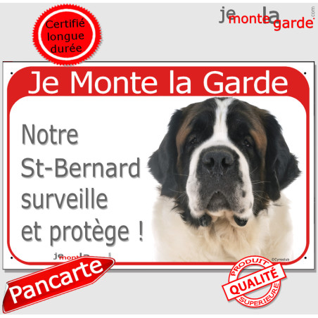 Saint-Bernard brun roux, plaque portail rouge "Je Monte la Garde, surveille protège" photo attention au chien