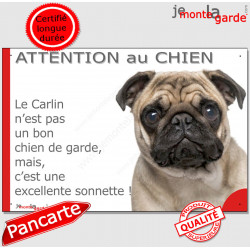 Plaque portail humour "Attention au Chien, notre Carlin fauve sable est une sonnette" pancarte panneau drôle photo Pug beige