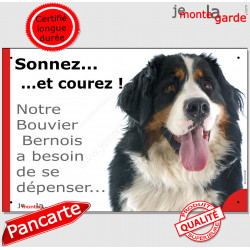 Plaque portail humour "Sonnez et Courez ! Notre Bouvier Bernois besoin dépenser" pancarte photo Attention au Chien drôle