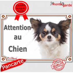 Chihuahua tricolore poils longs, plaque portail "Attention au Chien" pancarte panneau photo affiche