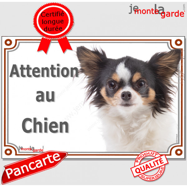 Chihuahua tricolore poils longs, plaque portail "Attention au Chien" pancarte panneau photo affiche