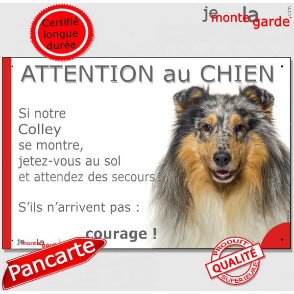 Colley bleu merle, plaque portail humour "Attention au Chien, Jetez Vous au Sol, secours, courage" photo Lassie Arlequin Berger,