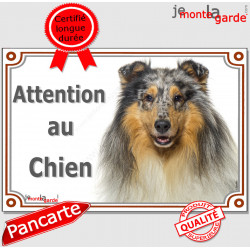 Colley bleu merle, plaque portail "Attention au Chien" pancarte panneau photo, Berger d'Ecosse marron Lassie