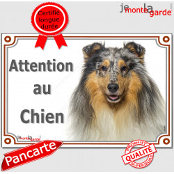 Colley, plaque portail "Attention au Chien" 24 cm LUX