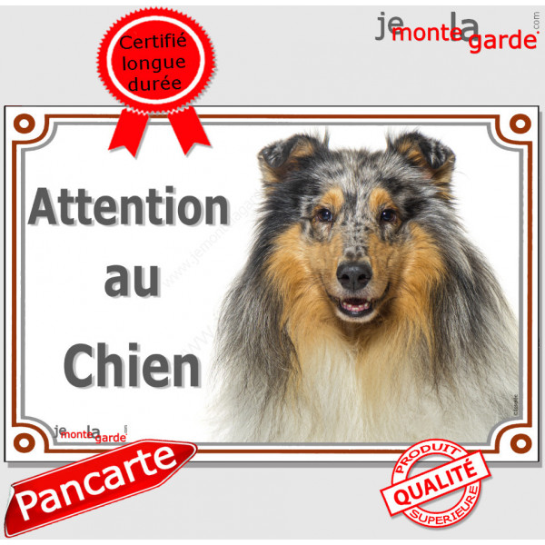 Colley bleu merle, plaque portail "Attention au Chien" pancarte panneau photo, Berger d'Ecosse marron Lassie