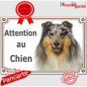 Colley, plaque portail "Attention au Chien" 24 cm LUX