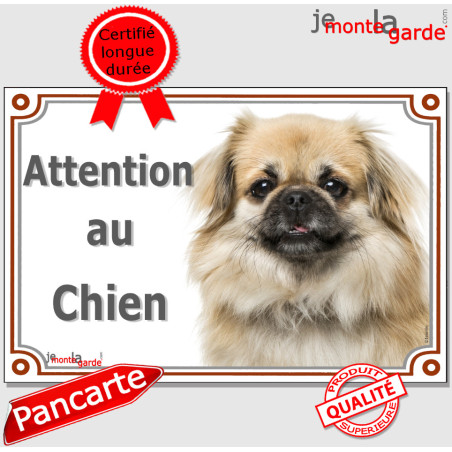 Epagneul Tibétain fauve clair charbonné, plaque portail photo "Attention au Chien" photo Tibet résiste intempéries