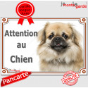 Epagneul Tibétain, plaque portail "Attention au Chien" 24 cm LUX