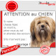 Lhassa Apso fauve, plaque portail humour "Attention au Chien, Jetez Vous au Sol, attendez secours, courage" photo pancarte