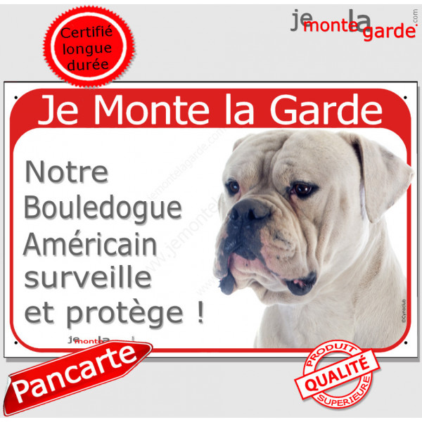 Bouledogue Américain tout blanc, plaque portail rouge "Je Monte la Garde, surveille et protège" pancarte panneau photo fluo Boul