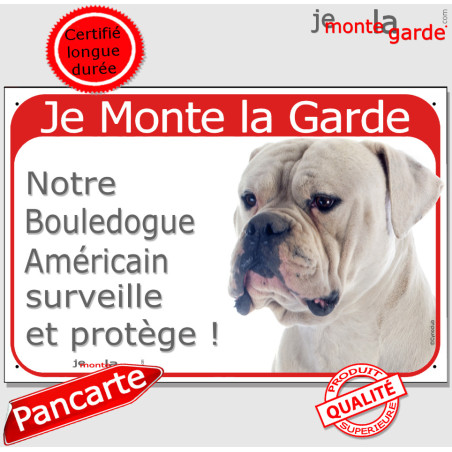 Bouledogue Américain tout blanc, plaque portail rouge "Je Monte la Garde, surveille et protège" photo fluo Boulam, résiste pluie