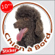 Caniche marron brun chocolat, sticker autocollant rond "Chien à Bord" Disque photo adhésif vitre voiture