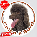 Caniche Marron chocolat, sticker voiture rond "Chien à Bord" 15 cm