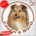 Colley fauve, sticker voiture rond "Chien à Bord" 14 cm