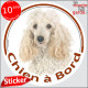 Caniche Blanc Tête, sticker autocollant rond "Chien à Bord" Disque adhésif photo