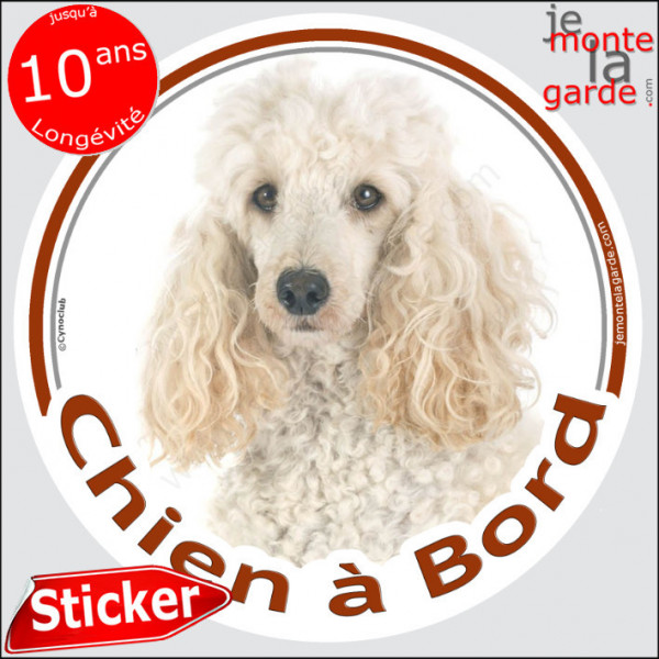 Caniche Blanc Tête, sticker autocollant rond "Chien à Bord" Disque adhésif photo