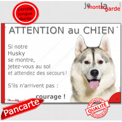 Husky Sibérien blanc et gris aux yeux marron, plaque humour "Attention au Chien, Jetez Vous au Sol, courage" pancarte photo