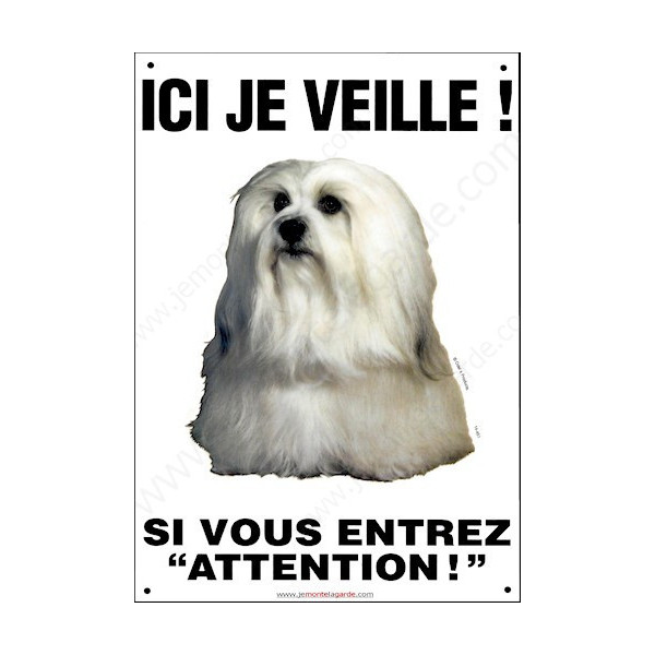 Bichon Havanais, Pancarte Portail Verticale, attention au chien, panneau plaque affiche risques et périls photo