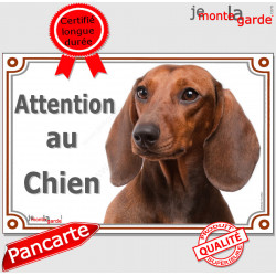 Teckel, plaque portail "Attention au Chien" 24 cm LUX