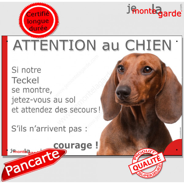 Teckel poils lisses fauve marron, plaque portail humour "Attention au chien, Jetez Vous au Sol, courage" pancarte drôle panneau