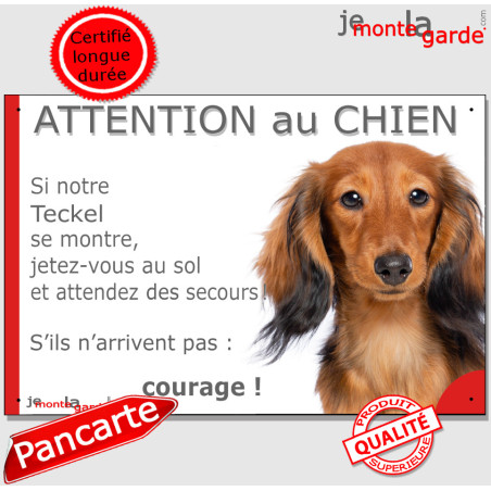 Teckel, plaque humour "Jetez Vous au Sol, Attention au Chien" 24 cm Teckel, plaque humour "Jetez Vous au Sol, Attention au Chien" 24 cm
