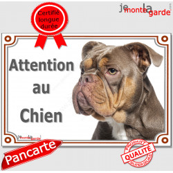 American Bully marron chocolat et tan, plaque portail "Attention au Chien" pancarte rue, panneau entrée, photo affiche porte