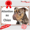 American Bully, plaque portail "Attention au Chien" 24 cm LUX