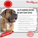 Cane Corso, plaque "8 Souhaits Secrets" 24 cm CDT