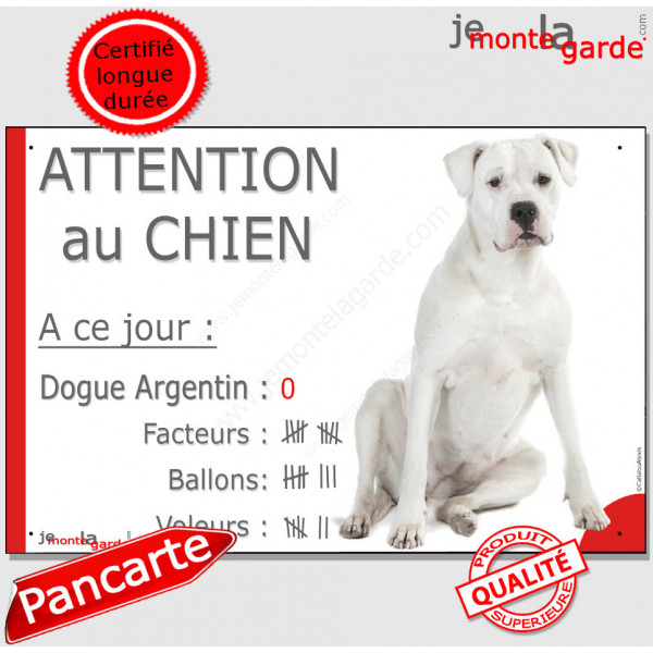 Dogue Argentin Assis, plaque portail humour "Attention au Chien, Nombre de Voleurs, ballons, facteurs" pancarte photo drôle