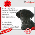Labrador noir, plaque humour extérieure "distance Niche-Portail 3 secondes" 24 cm 3SEC