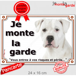 Dogue Argentin tout Blanc, plaque portail extérieur "je Monte la Garde, risques et périls" pancarte attention au chien photo