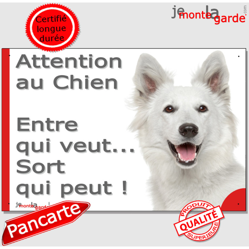 Plaque portail humour extérieur Berger Blanc Suisse "Attention au Chien, Entre qui veut... Sort qui peut !" photo, résiste pluie