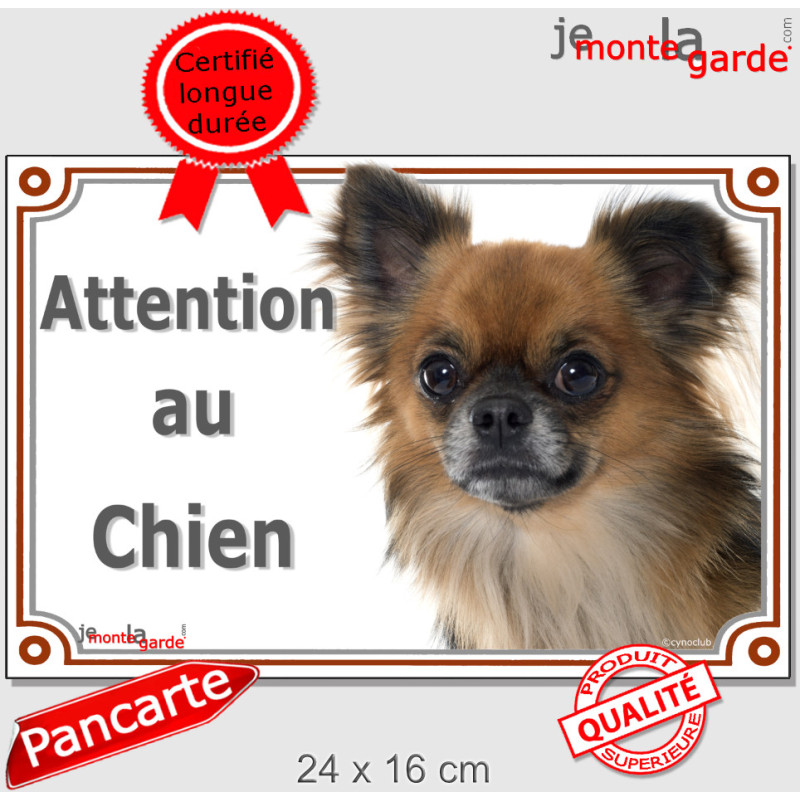 Chihuahua fauve charbonné à poils longs Tête, plaque portail "Attention au Chien" pancarte panneau photo Chiwawa marron Chihuahua fauve charbonné à poils longs Tête, plaque portail "Attention au Chien" pancarte panneau photo Chiwawa marron