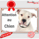 Dogue Argentin tout blanc, plaque portail "Attention au Chien" pancarte panneau photo