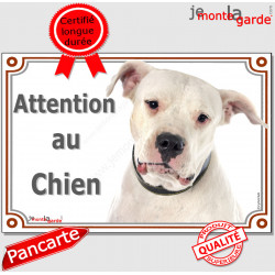 Dogue Argentin tout blanc, plaque portail "Attention au Chien" pancarte panneau photo