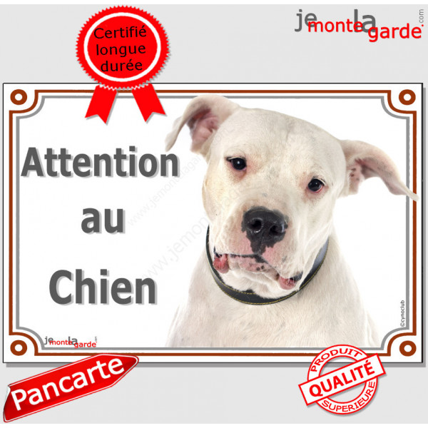 Dogue Argentin tout blanc, plaque portail "Attention au Chien" pancarte panneau photo