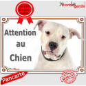 Dogue Argentin, plaque portail "Attention au Chien" 24 cm LUX
