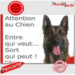 Berger Belge Malinois, plaque portail humour "Attention au Chien, Entre qui veut, sort qui peut !" photo pancarte panneau drôle