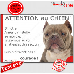 American Bully red nose, plaque humour "Attention au Chien, Jetez Vous au Sol" 24 cm JET