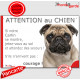 Carlin fauve sable, plaque portail humour "Attention au Chien, Jetez Vous au Sol, attendez secours courage" pancarte drôle photo