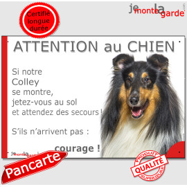 Colley tricolore, plaque portail humour "Attention au Chien, Jetez Vous au Sol, secours, courage" photo Lassie Berger, résiste p