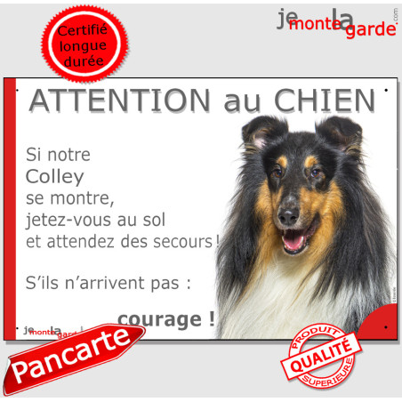 Colley tricolore, plaque portail humour "Attention au Chien, Jetez Vous au Sol, secours, courage" photo Lassie Berger, résiste p