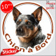 Bouvier Australien moucheté bleu, disque photo autocollant "Chien à Bord" Sticker adhésif rond vitre voiture bleu merle