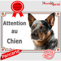 Bouvier Australien, plaque portail "Attention au Chien" 24 cm LUX