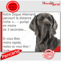 Danois bleu, plaque humour "distance Niche-Portail 3 secondes" 24 cm 3S